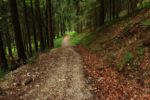 2014-07-05_Laengental-N-Hochweg (988). JPG